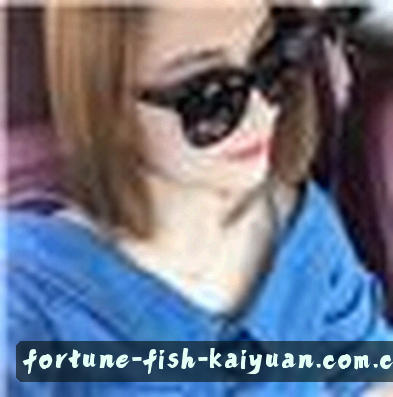 吴刚